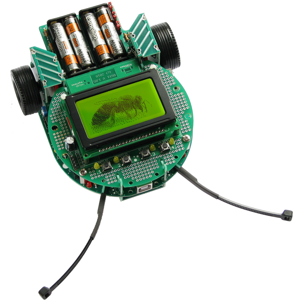 nicai systems Grafik-Display BGX1 Erweiterung für NIBObee