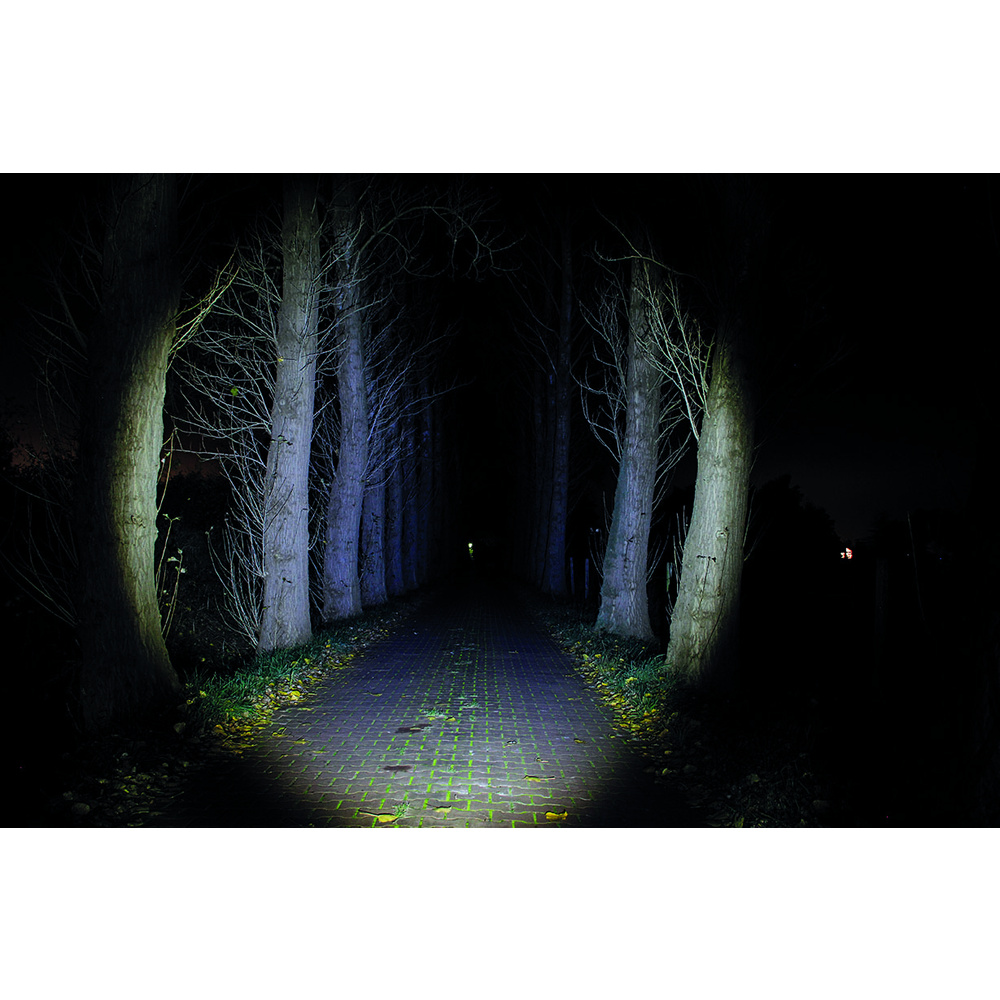 ELV LED-Taschenlampe TF120+, mit arretierbarem Variofokus, 120 lm, IPX4, Batteriebetrieb