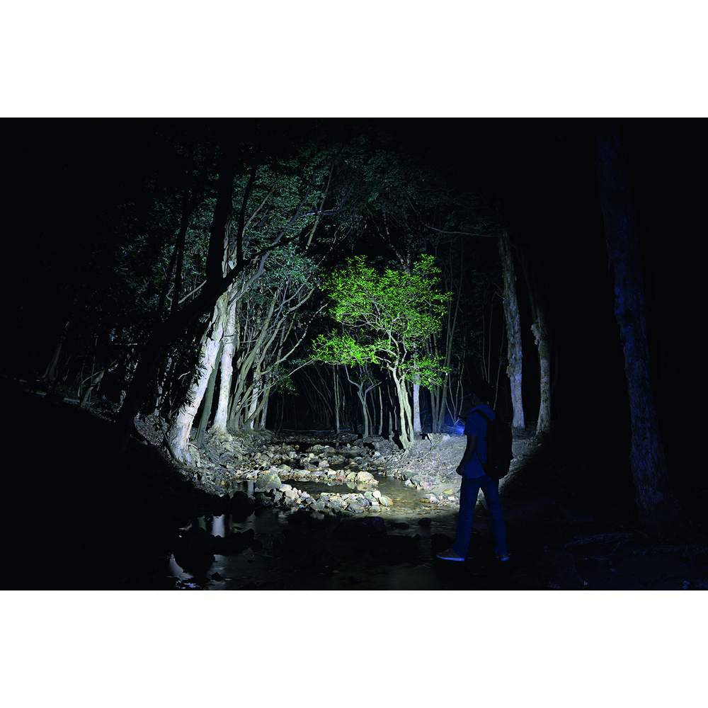 Fenix FD30 LED-Taschenlampe, fokussierbar, schwarz