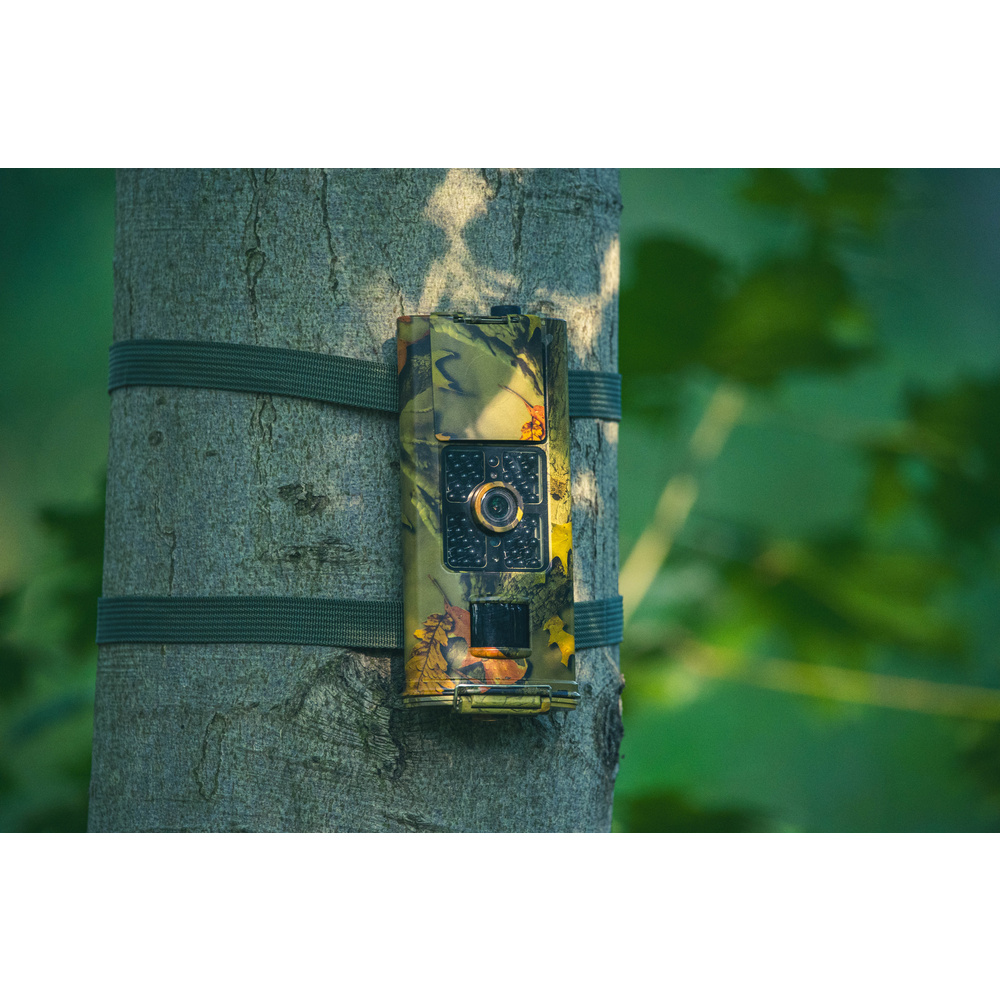 Braun Fotofalle/ Wildkamera Scouting Cam BLACK700, 16 MP, 1080p, IP65