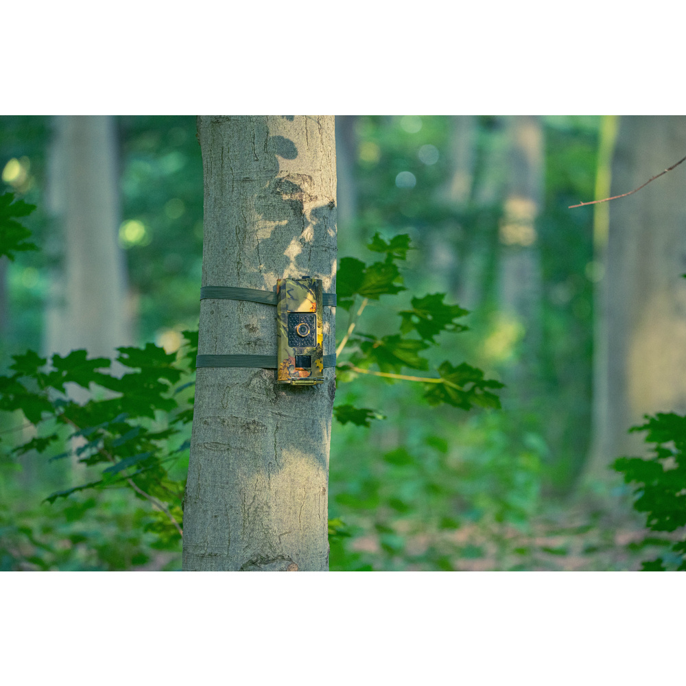 Braun Fotofalle/ Wildkamera Scouting Cam BLACK700, 16 MP, 1080p, IP65