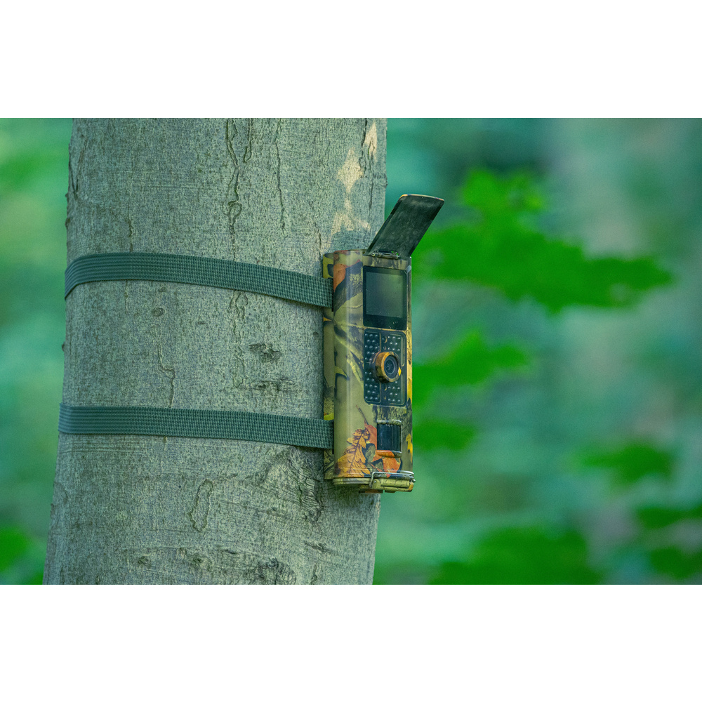 Braun Fotofalle/ Wildkamera Scouting Cam BLACK700, 16 MP, 1080p, IP65