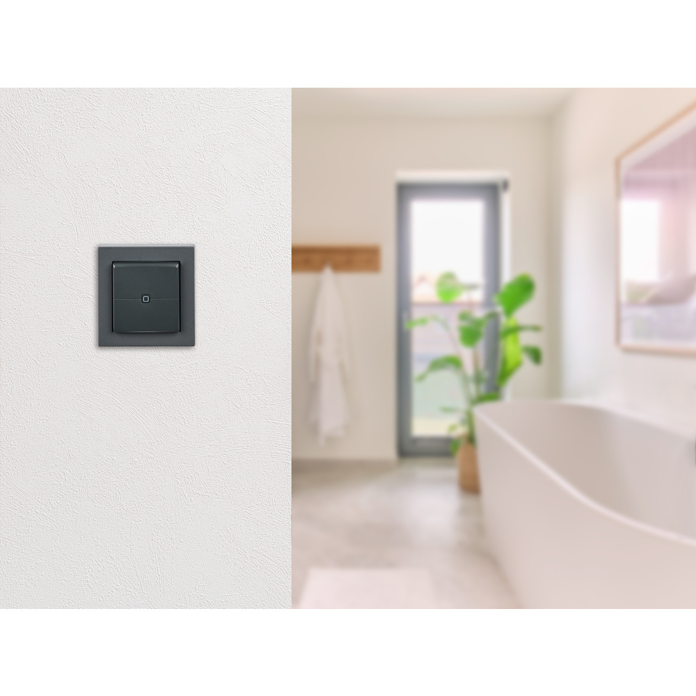 Homematic IP Smart Home Wandtaster – 2-fach, anthrazit, HmIP-WRC2-A-2