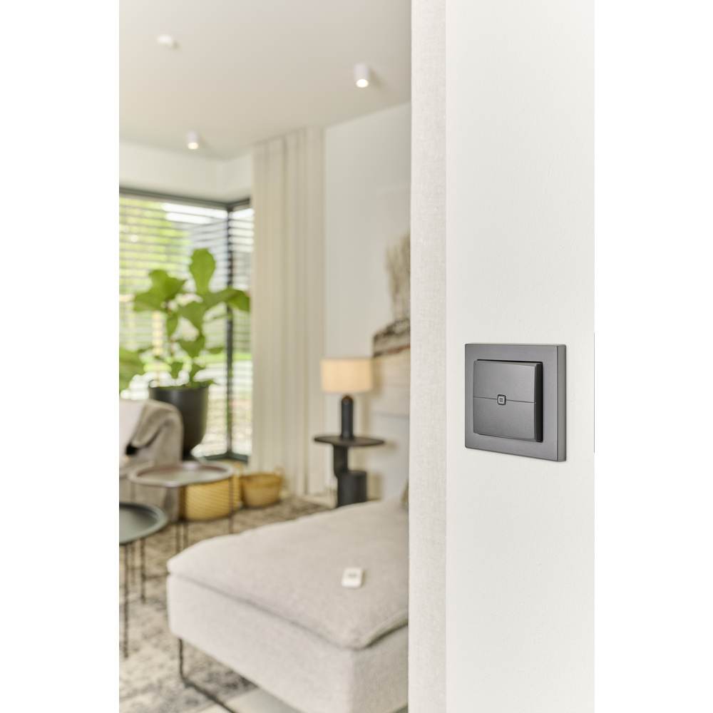 Homematic IP Smart Home Wandtaster – 2-fach, anthrazit, HmIP-WRC2-A-2