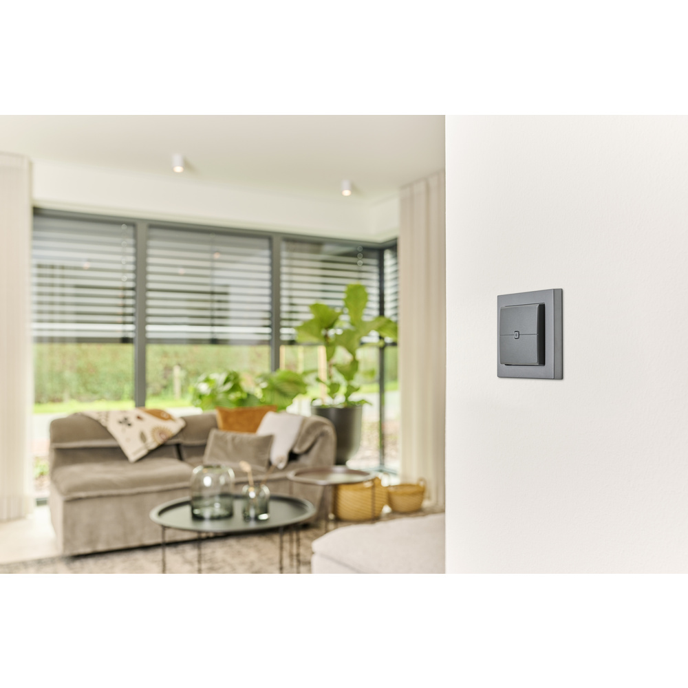 Homematic IP Smart Home Wandtaster – 2-fach, anthrazit, HmIP-WRC2-A-2