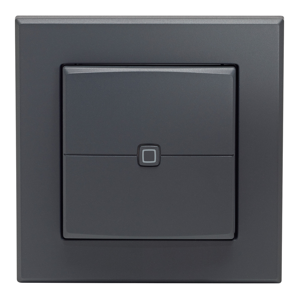 Homematic IP Smart Home Wandtaster – 2-fach, anthrazit, HmIP-WRC2-A-2