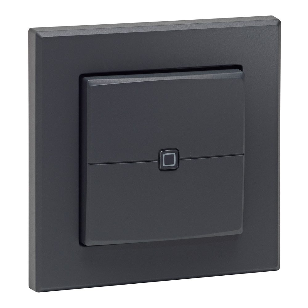 Homematic IP Smart Home Wandtaster – 2-fach, anthrazit, HmIP-WRC2-A-2