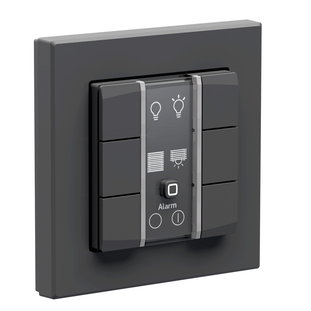 Homematic IP Smart Home Wandtaster – 6-fach, anthrazit, HmIP-WRC6-230-A