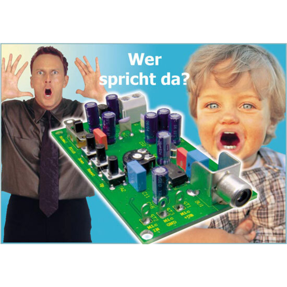 Voice-Changer VC 100