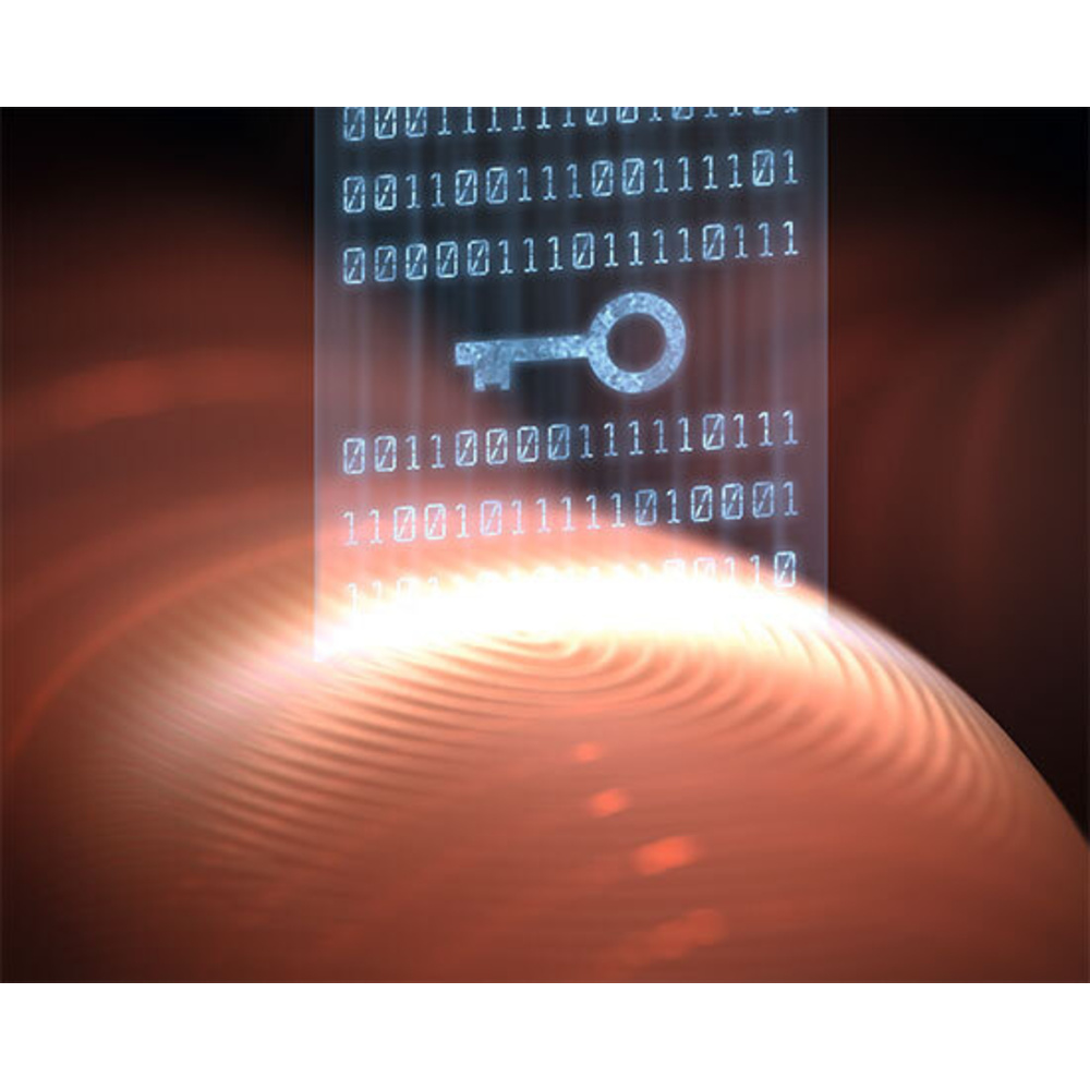 Elektronische Zugangssysteme - Biometrisch bequem und sicher ins Haus