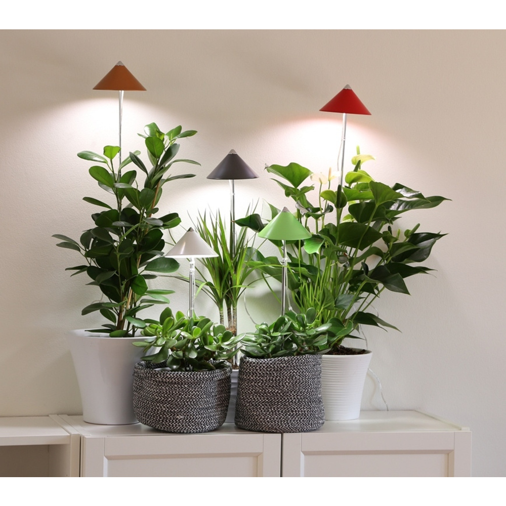 Venso 7-W-LED-Pflanzenleuchte mit Zuleitung und Schalter, grauer Schirm