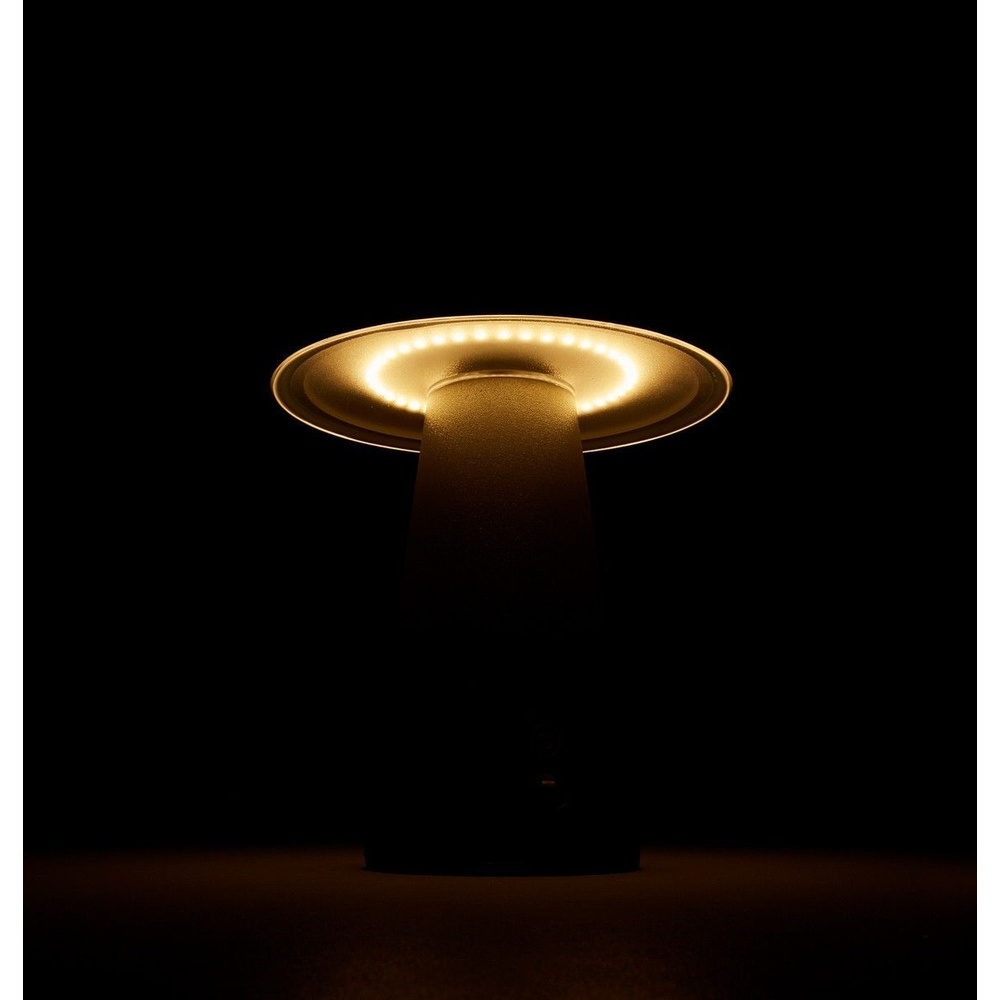 HEITRONIC Light2Go Akku-LED-Tischleuchte Mushroom, 3-stufig dimmbar, IP54, anthrazit