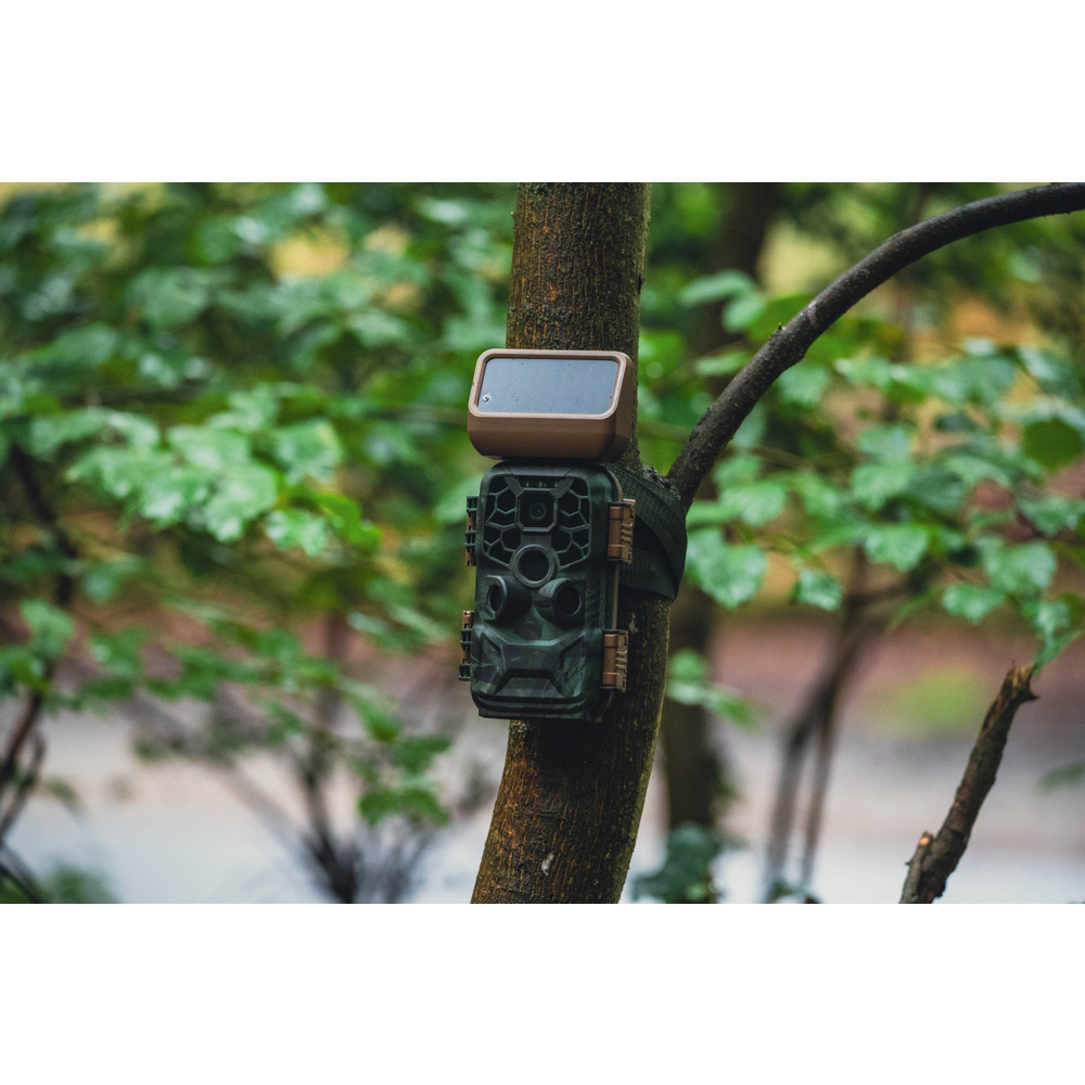Braun Fotofalle / Wildkamera Scouting Cam BLACK400 WiFi SOLAR, 24 MP, IP56, Auslösezeit 0,4s