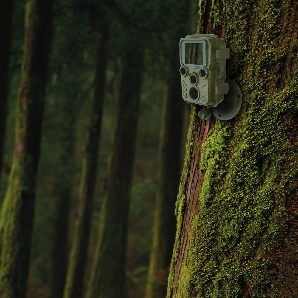 Braun Mini-Fotofalle / Wildkamera Scouting Cam BLACK800 Mini, 20 MP, 2160p, IP66, Auslösezeit 0,2 s