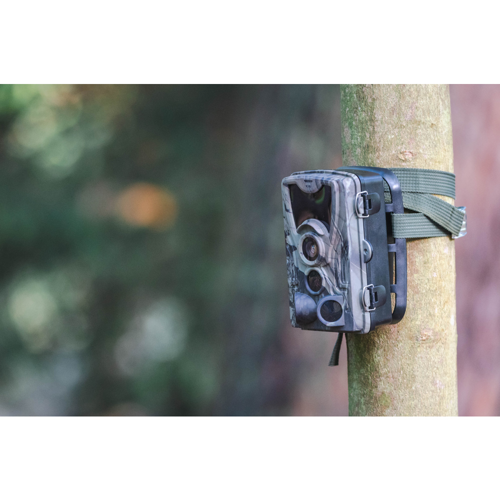 Braun Fotofalle / Wildkamera Scouting Cam BLACK550, 24 MP, IP65, 940 nm