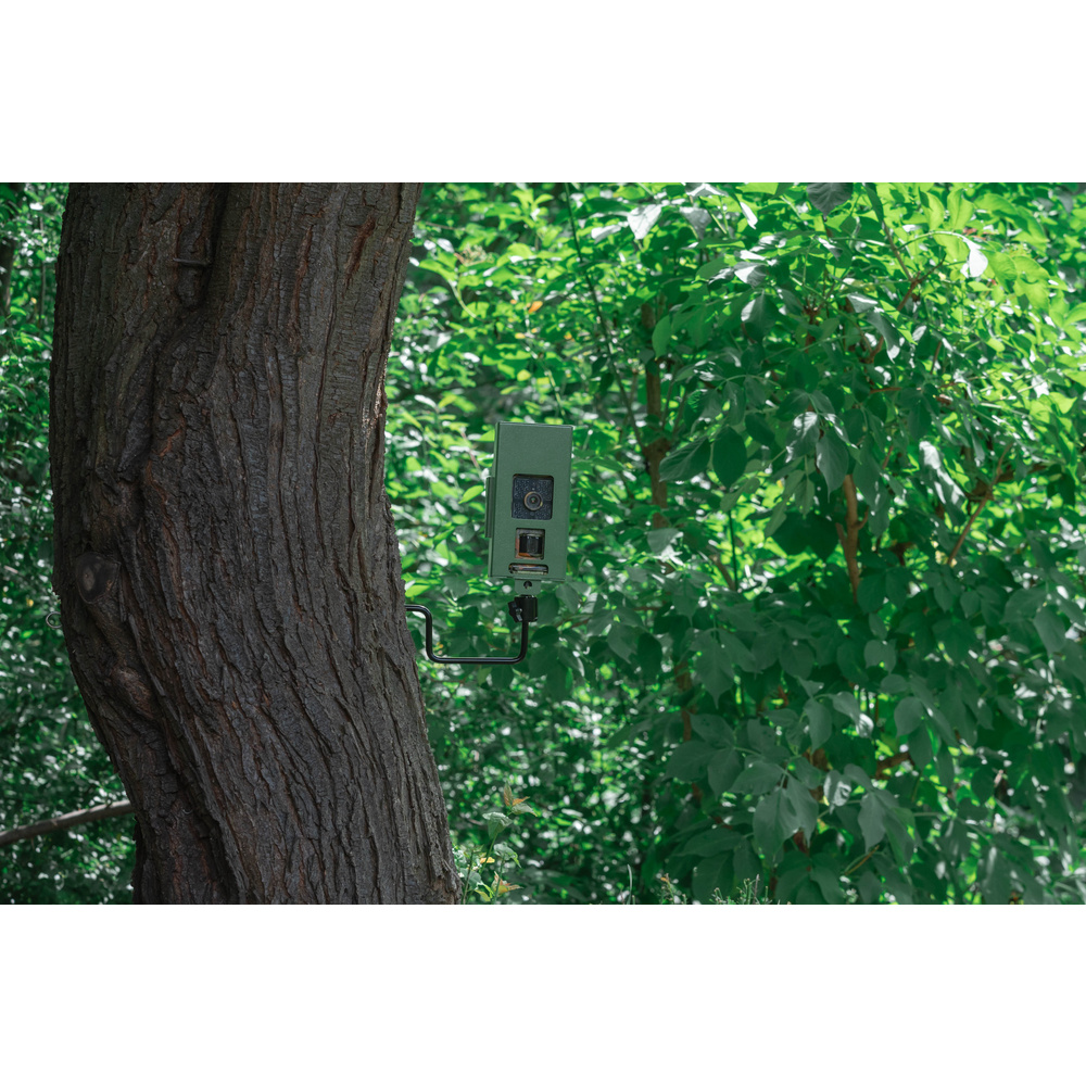 Braun Baumschraube mit 1/4"-Gewinde, geeignet für Wildkameras / Überwachungskameras / Action-Cams
