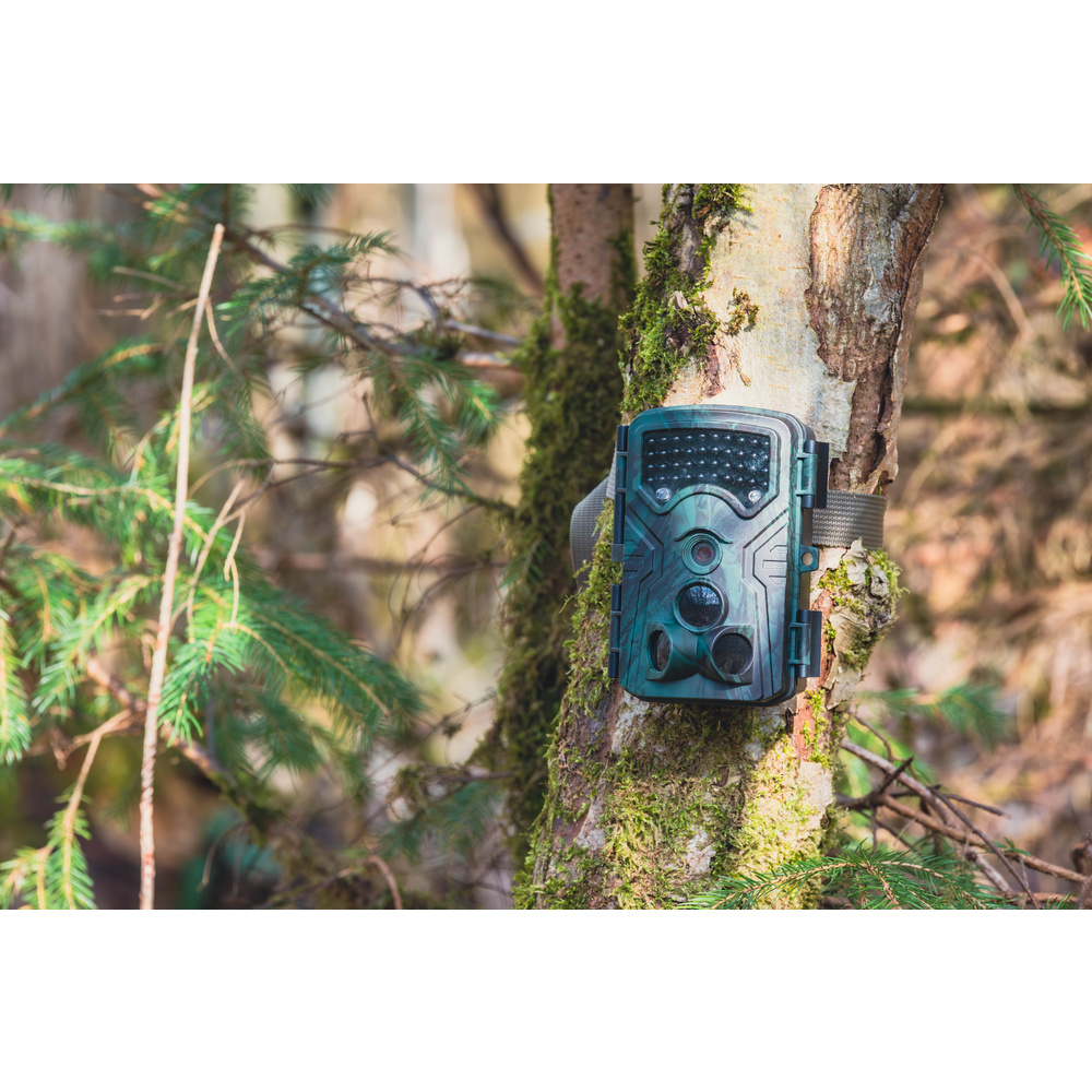 Braun Fotofalle/ Wildkamera Scouting Cam BLACK1300 WiFi, 13-MP-CMOS, 4K, IP66, App-Steuerung