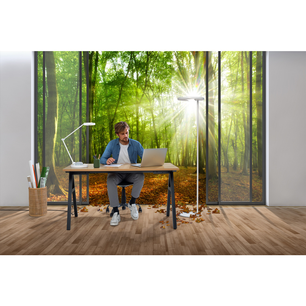 LEDVANCE SMART+ WiFi SUN@HOME 15-W-Vollspektrum-LED-Schreibtischleuchte PANAN DESK, 600 lm, 95 Ra,TW