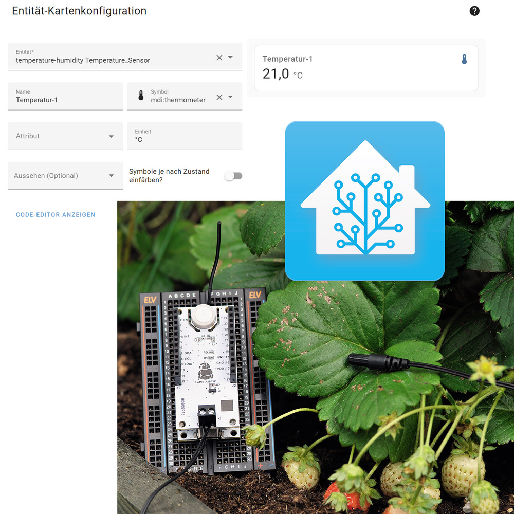 Schicke Daten - LoRaWAN mit Home Assistant