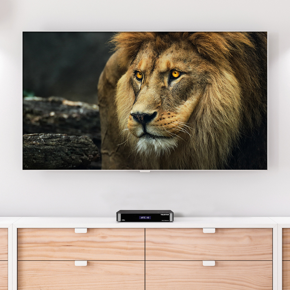 Telestar SAT-Receiver TELETWIN HD, SAT-IP-Server/-Client, IPTV für 2 Teilnehmer, Bluetooth
