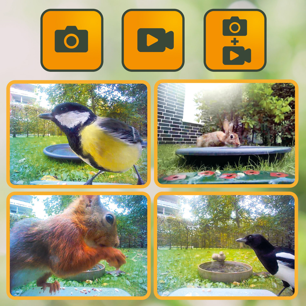 EASYPIX Vogelfutterhaus -BirdyCam- mit HD-Kamera, Solar-Panel und Akku, speichert auf microSD-Karte