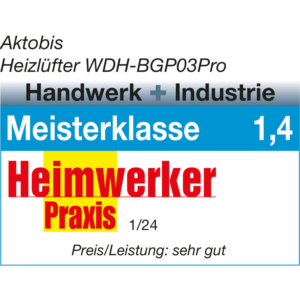 Aktobis Elektro-Heizgebläse WDH-BGP03Pro