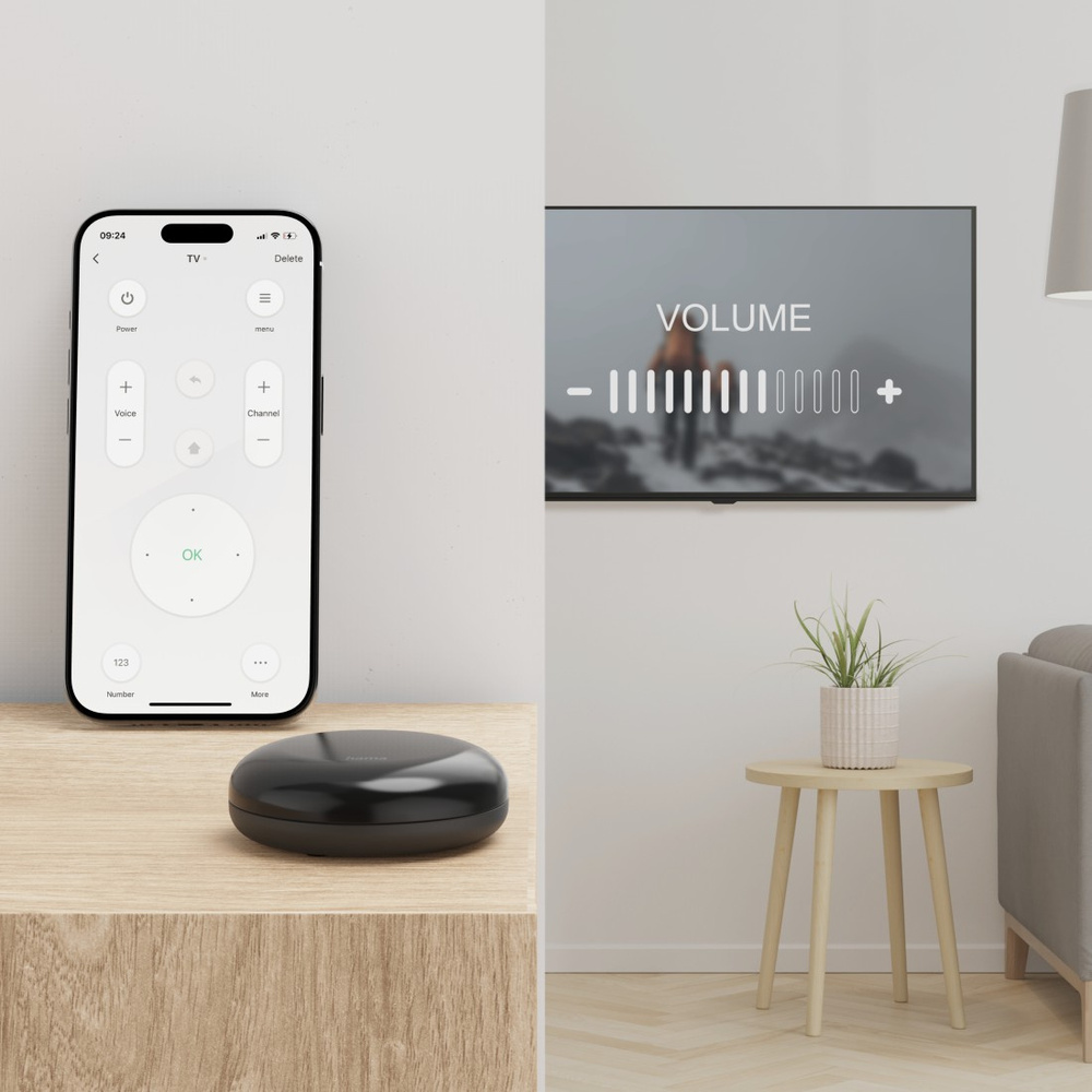 Hama Smarte WLAN-Universal-Fernbedienung, Infrarot, für Sprach-/App-Steuerung