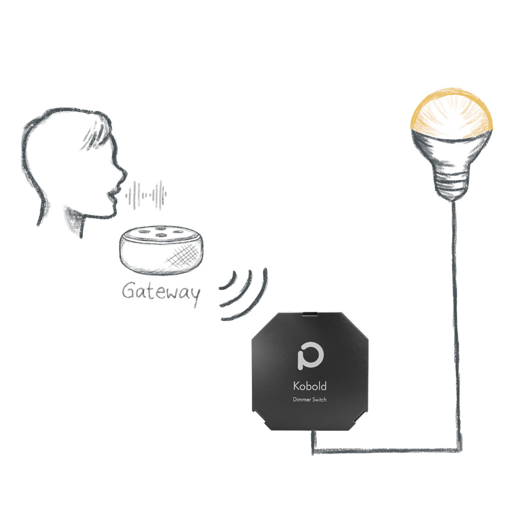 Phoscon Smart Home Dimmer Switch,  Kobold, Zigbee