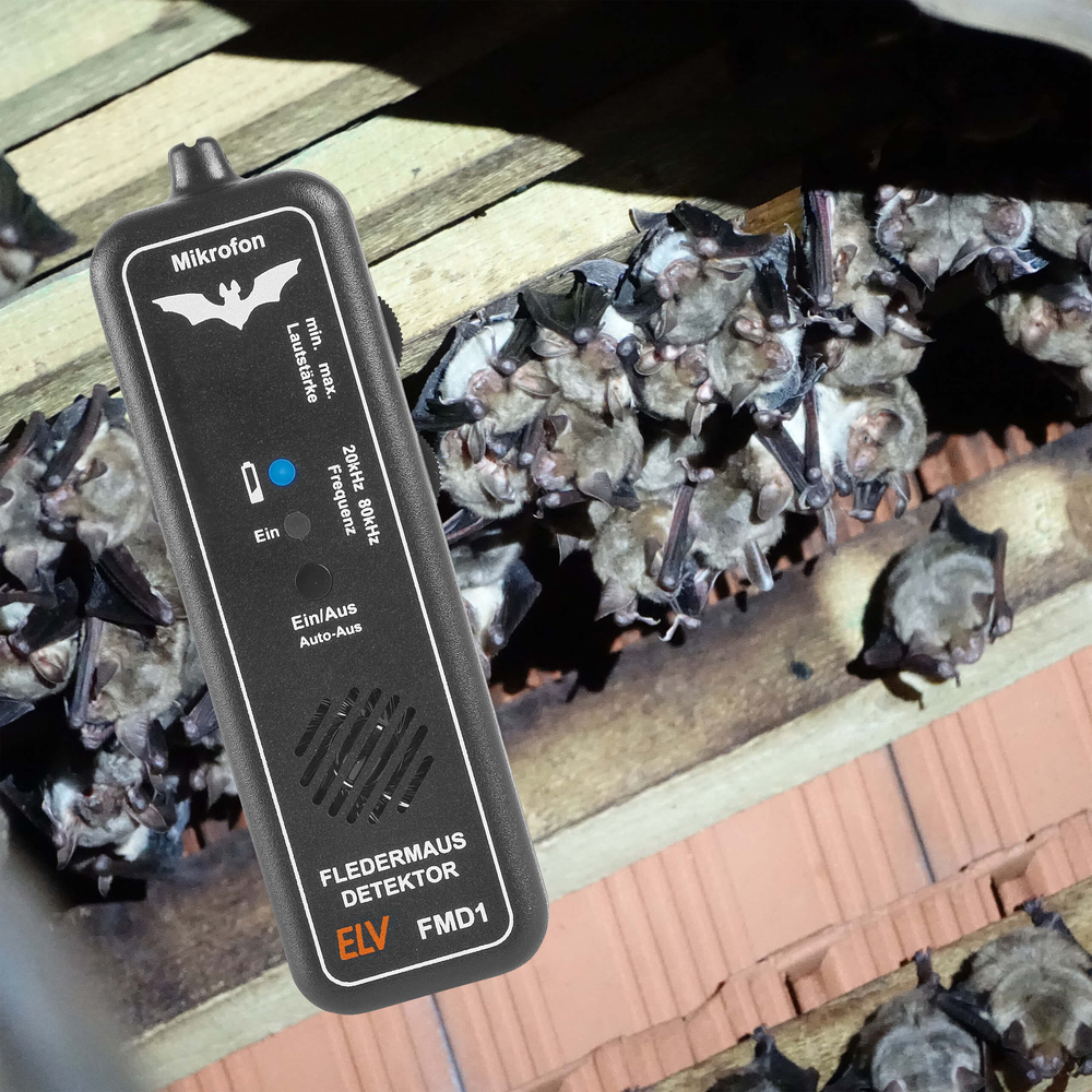 Faszination Fledermäuse - Mit Technik die Natur entdecken