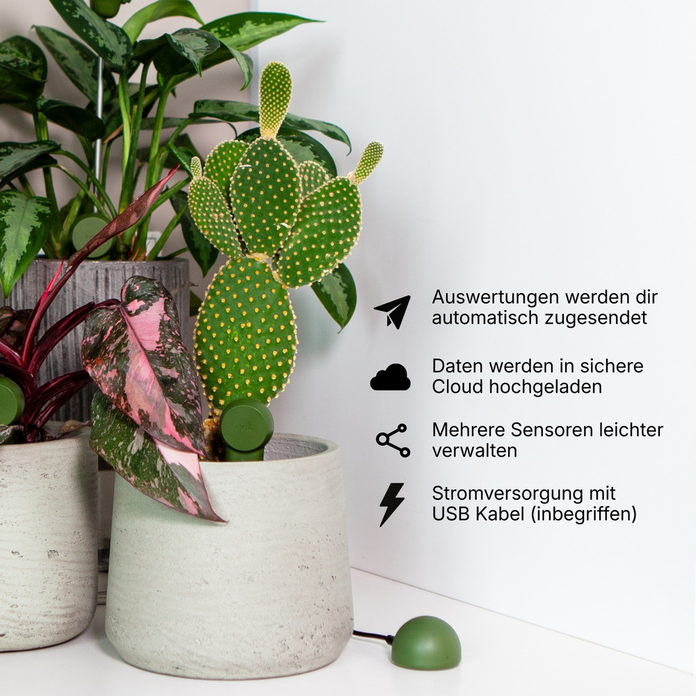 FYTA WiFi Hub WLAN-Gateway für Pflanzensensoren | Smart Home
