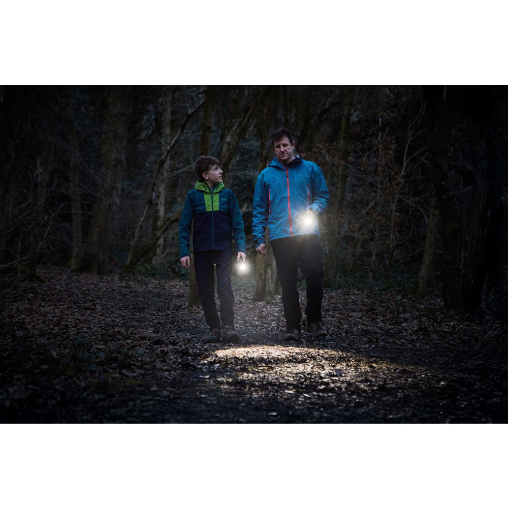 Osram Taschenlampe LEDinspect TORCH 250 ESSENTIAL