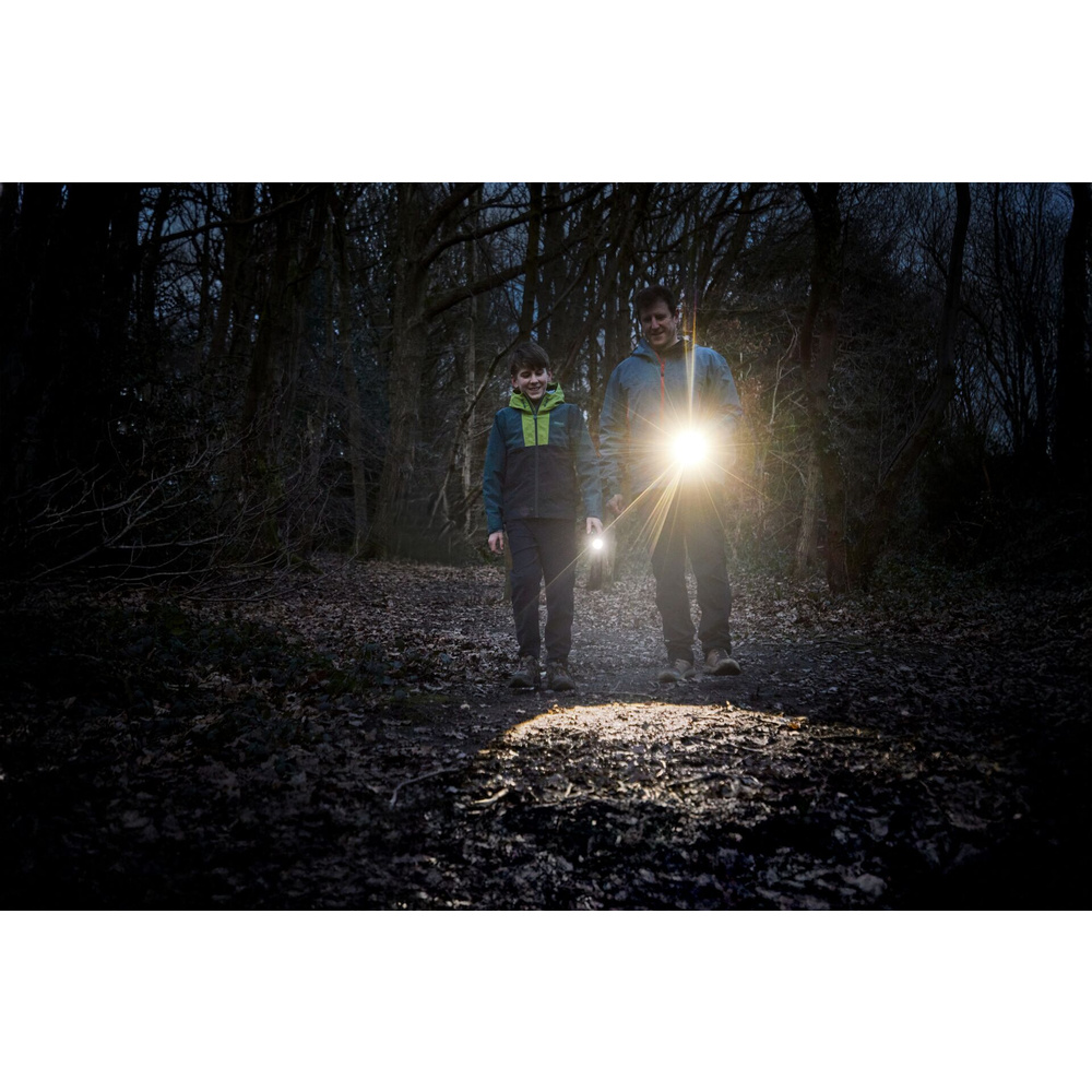 Osram Taschenlampe LEDinspect TORCH 350 ESSENTIAL