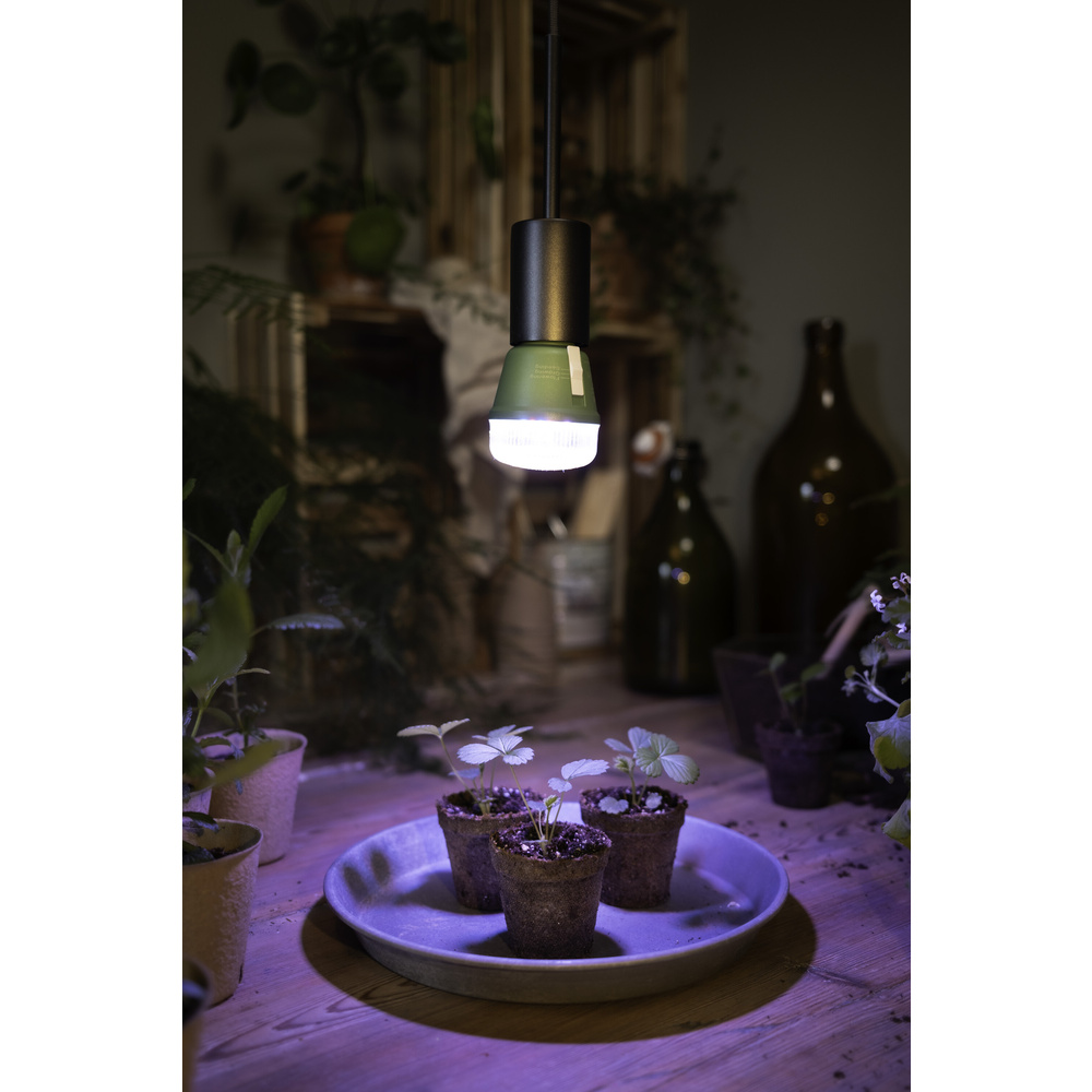 Osram 3-Lichtspektrum-Pflanzenlampe, 10 W, 330 lm, E27, klar, LED STAR GROW T 60
