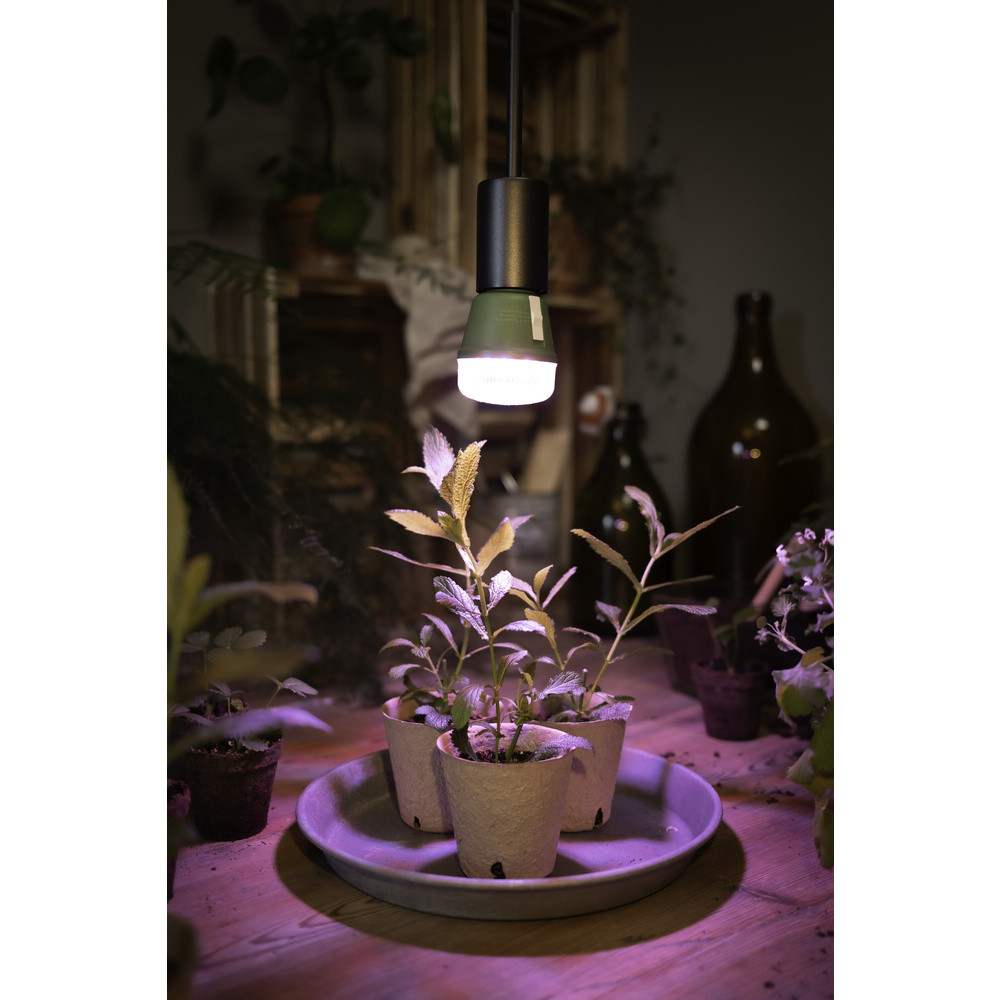 Osram 3-Lichtspektrum-Pflanzenlampe, 10 W, 330 lm, E27, klar, LED STAR GROW T 60