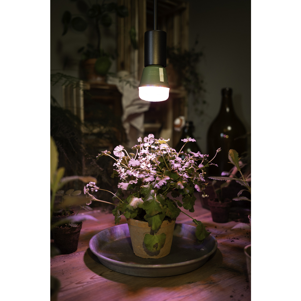 Osram 3-Lichtspektrum-Pflanzenlampe, 10 W, 330 lm, E27, klar, LED STAR GROW T 60