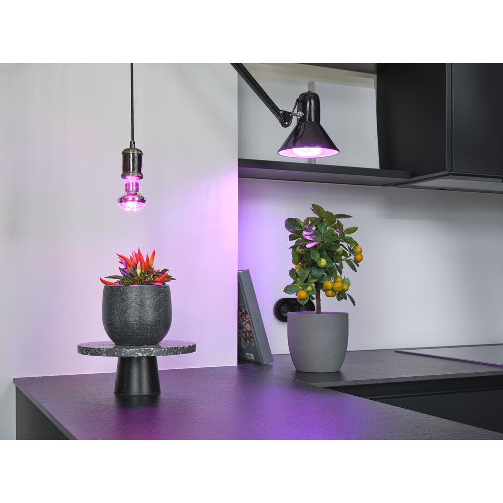 Osram 3-Lichtspektrum-Pflanzenlampe, 20 W, 650 lm, E27, klar,  LED STAR GROW T 80