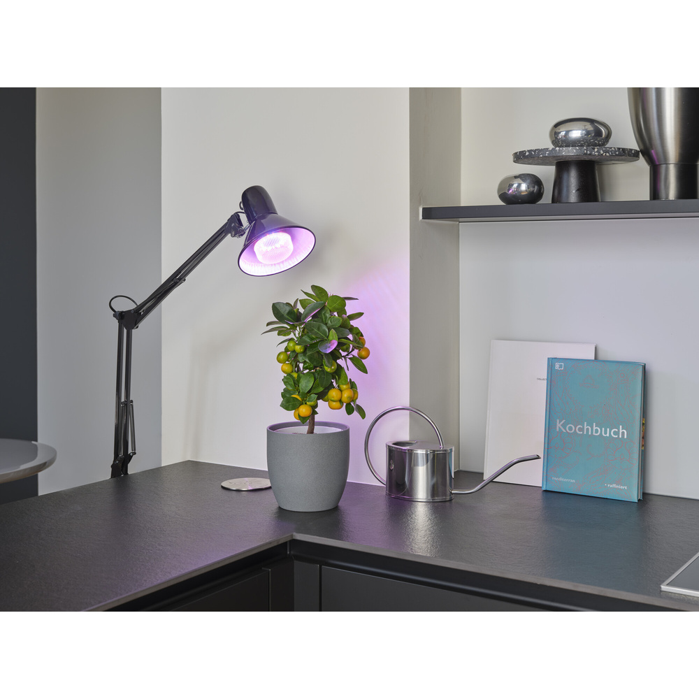 Osram 3-Lichtspektrum-Pflanzenlampe, 20 W, 650 lm, E27, klar,  LED STAR GROW T 80