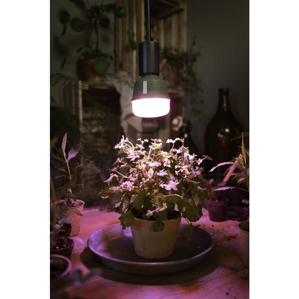 Osram 3-Lichtspektrum-Pflanzenlampe, 20 W, 650 lm, E27, klar,  LED STAR GROW T 80