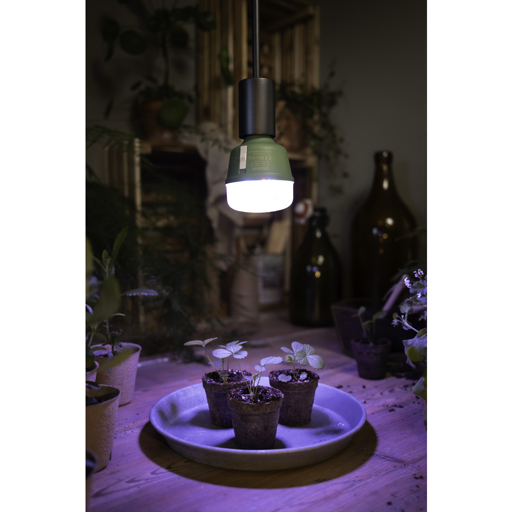 Osram 3-Lichtspektrum-Pflanzenlampe, 20 W, 650 lm, E27, klar,  LED STAR GROW T 80