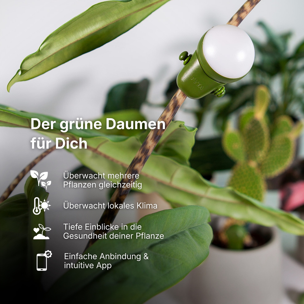 FYTA Sphere Klimasensor für Licht, Temperatur und Luftfeuchte | Smart Home