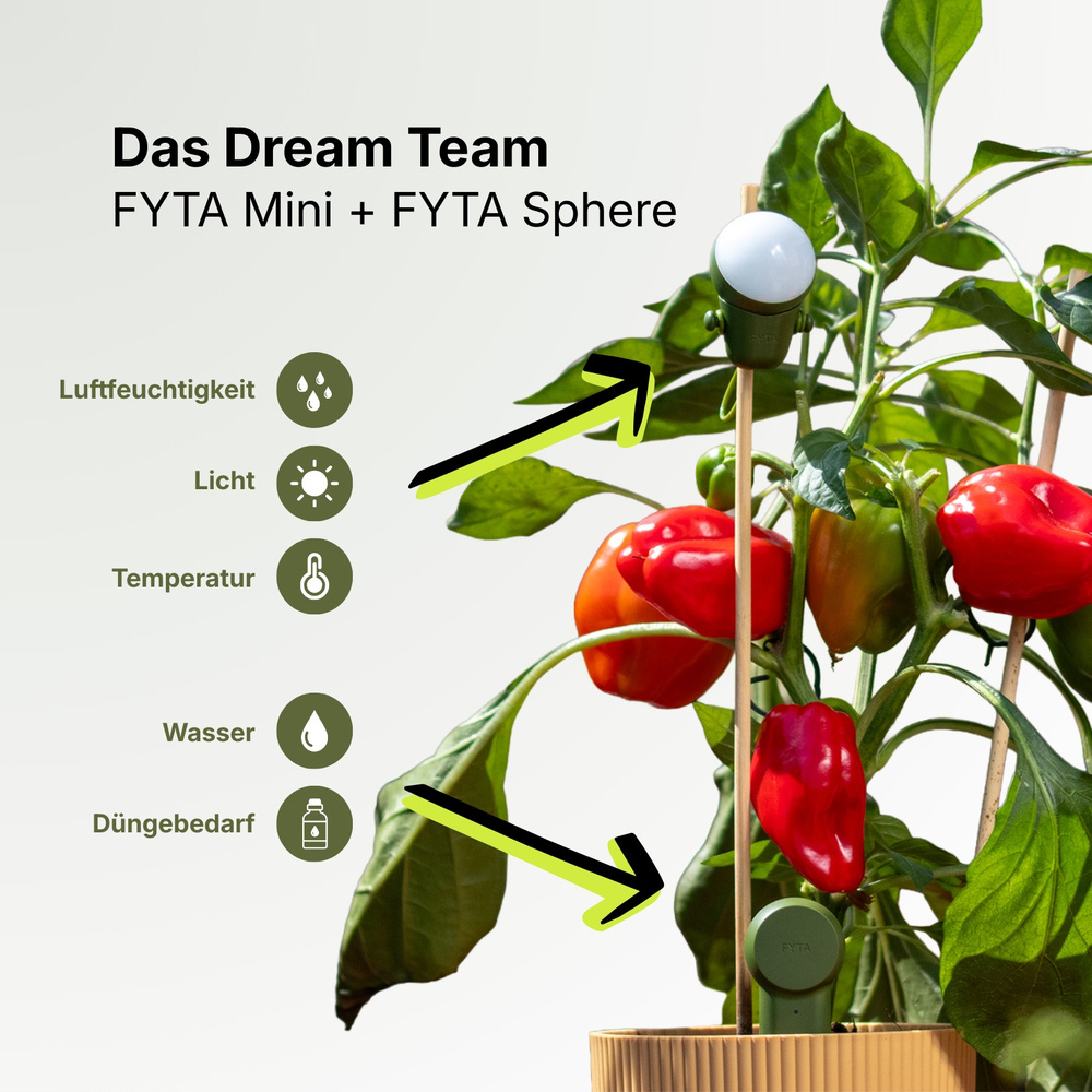 FYTA Sphere Klimasensor für Licht, Temperatur und Luftfeuchte | Smart Home