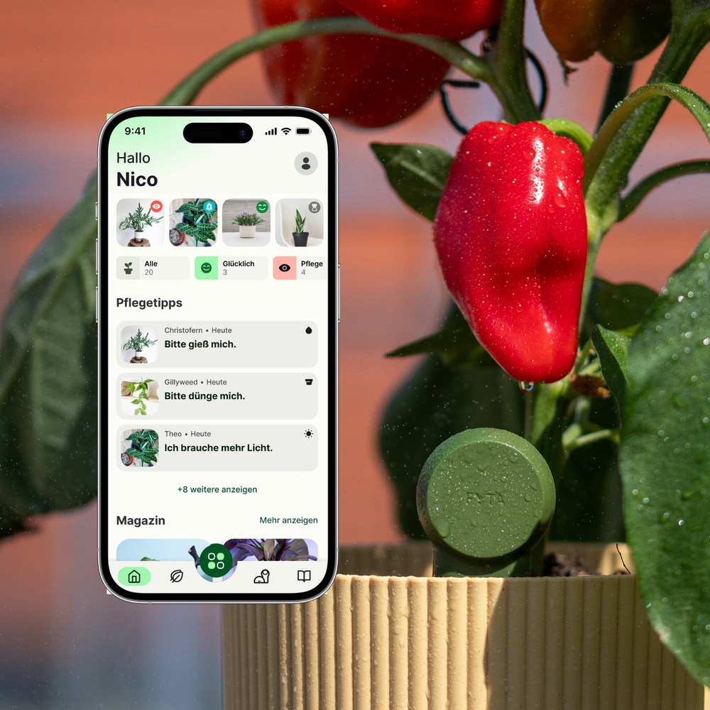 FYTA Mini Pflanzensensor mit Bluetooth | Smart Home