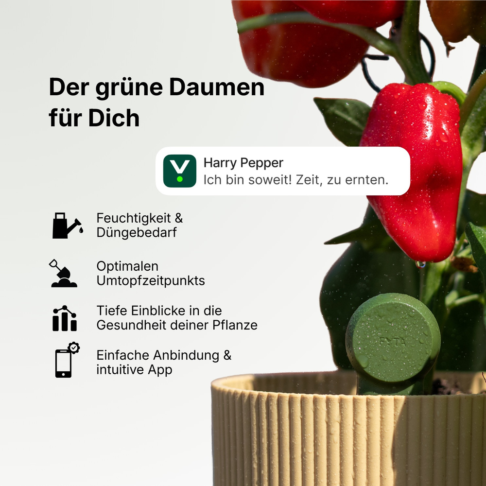 FYTA Mini 3er Set, Bluetooth Pflanzensensoren | Smart Home