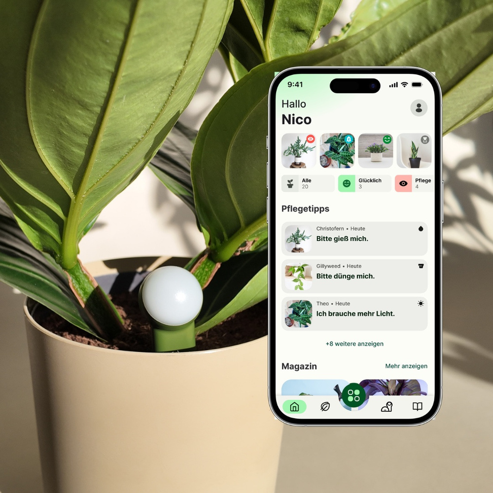 FYTA Beam G2 3er Set, Smarte Pflanzensensoren | Smart Home