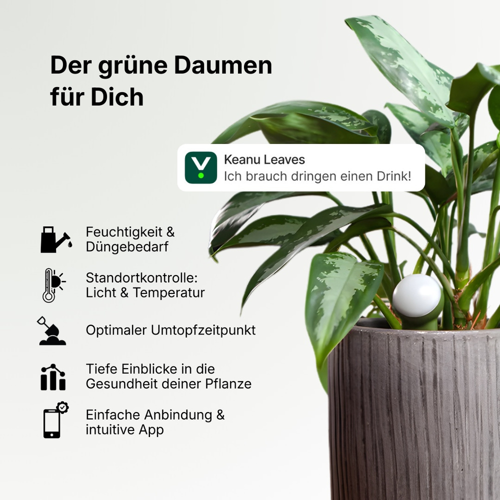 FYTA Beam G2 3er Set, Smarte Pflanzensensoren | Smart Home