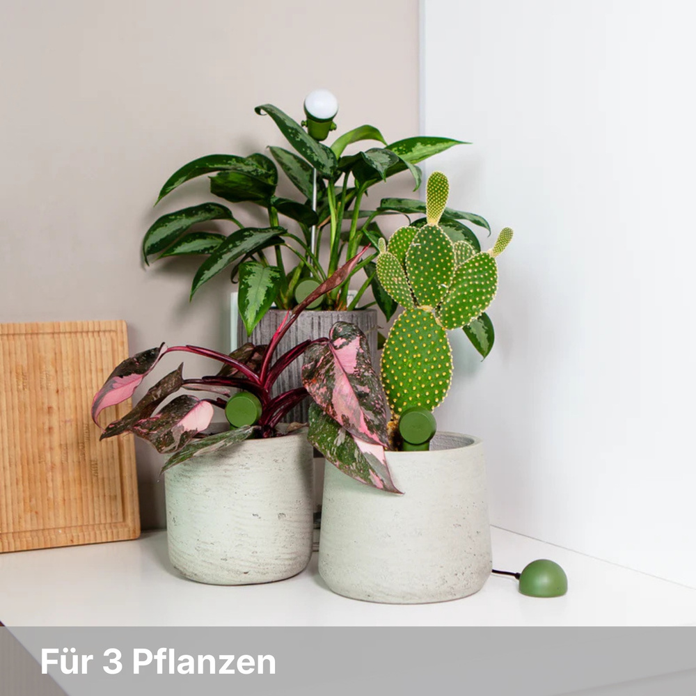 FYTA Grow Set, Pflanzensensor-Komplettset | Smart Home