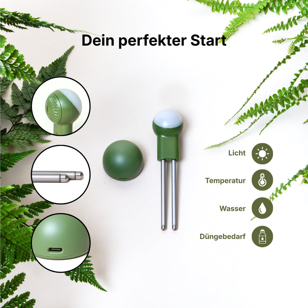 FYTA Starter Set, Beam G2 mit WiFi Hub | Smart Home