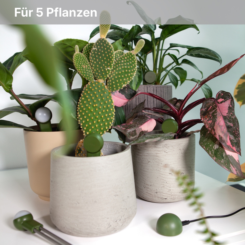 FYTA Grove Set, Pflanzensensor-Komplettsystem | Smart Home