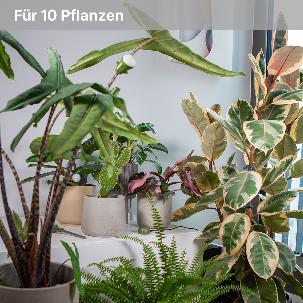 FYTA Jungle Set, Pflanzensensor-System für Sammlungen | Smart Home