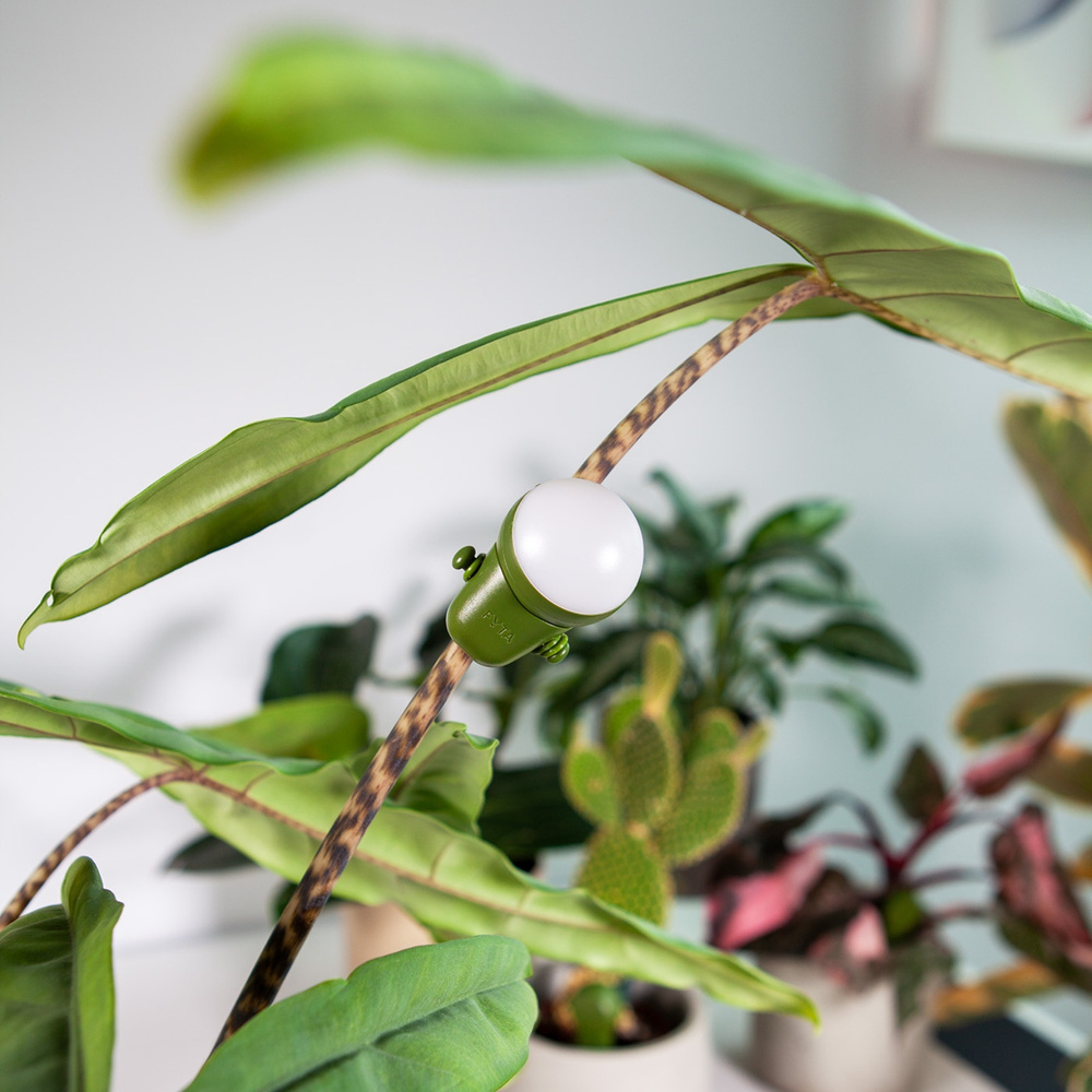 FYTA Jungle Set, Pflanzensensor-System für Sammlungen | Smart Home